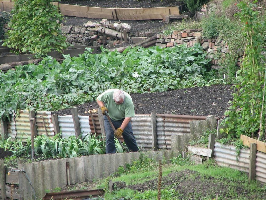 garden waste