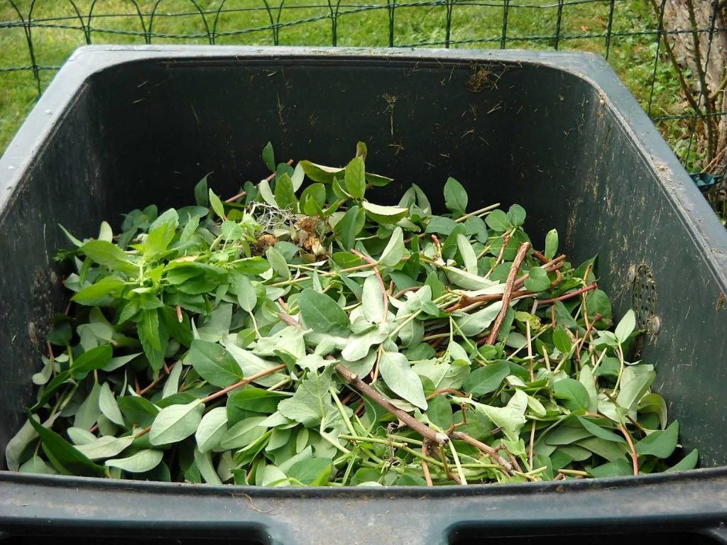 green garden bin