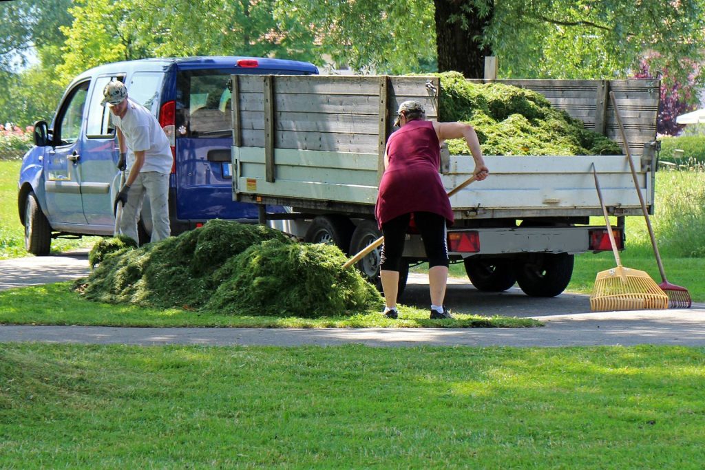 green waste removal in Brisbane