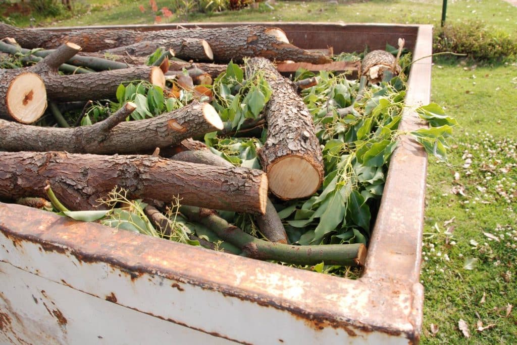 walk-in garden skip bin