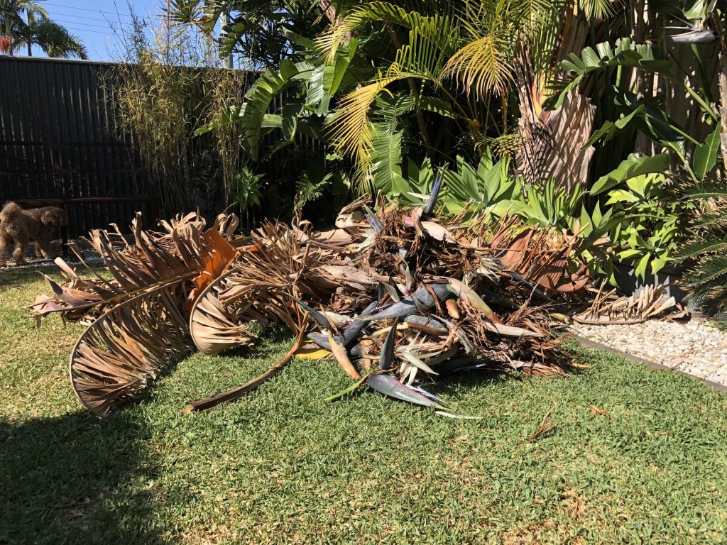 green waste pile