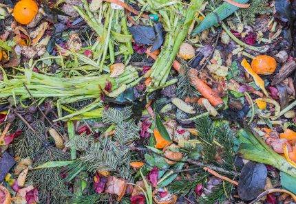 4 crazy things you didn’t know about green waste