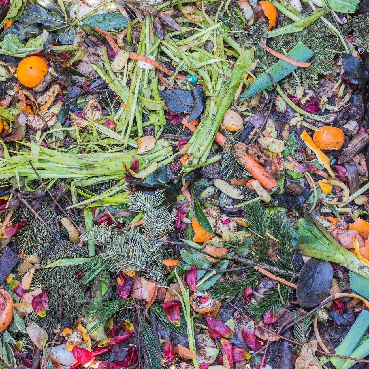 4 crazy things you didn’t know about green waste