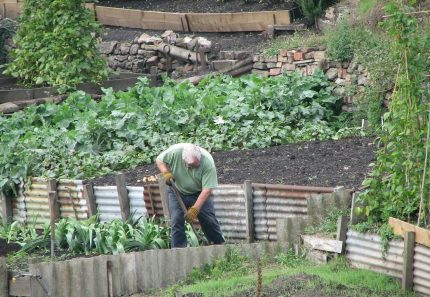 4 reasons to invest in garden waste skip bins