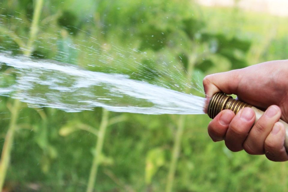 3 reasons not to overlook a garden bin