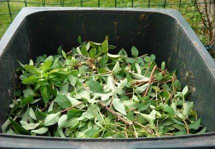 How to dispose of garden waste efficiently