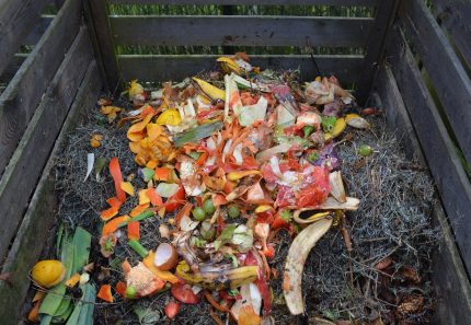 The Difference between Green Waste and Organic Waste