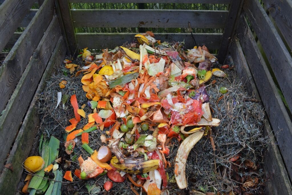 The Difference between Green Waste and Organic Waste