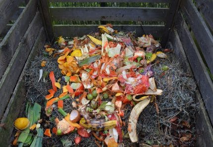 The Difference between Green Waste and Organic Waste