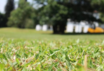 grass clipping removal brisbane