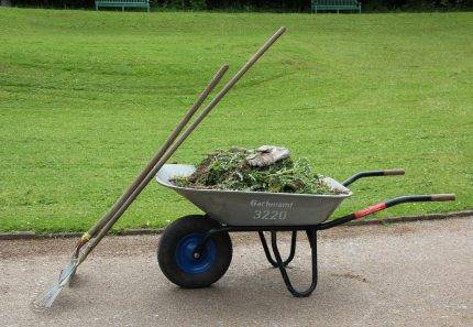 The 101 of green waste & how to dispose of it