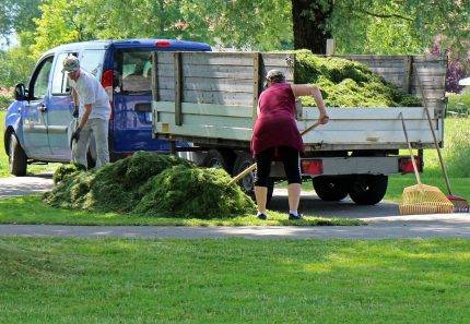 Why green waste removal is important