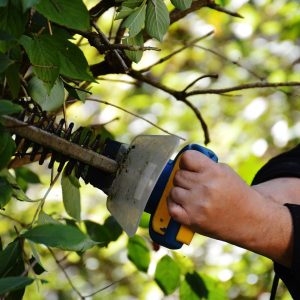 green waste removal brisbane