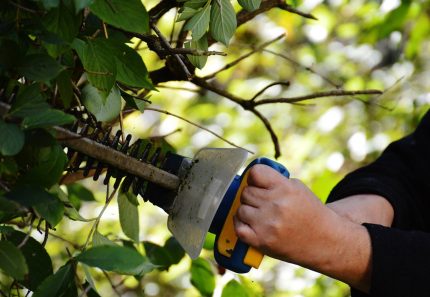 A Beginner’s Guide to Green Waste Removal