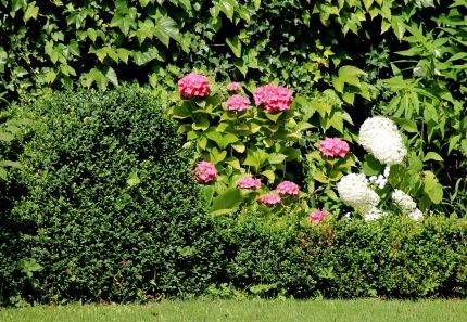 Simple Tips to Keep Your Garden Looking Beautiful