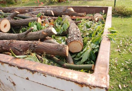 3 Undeniable Reasons People Love Garden Waste Skips