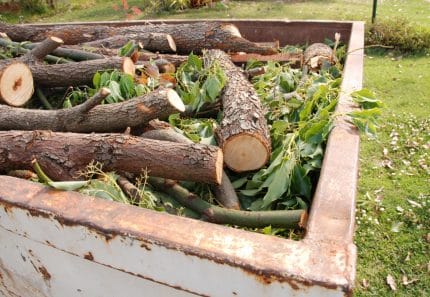 Top 3 Things to Know About Green Waste Skip Bins