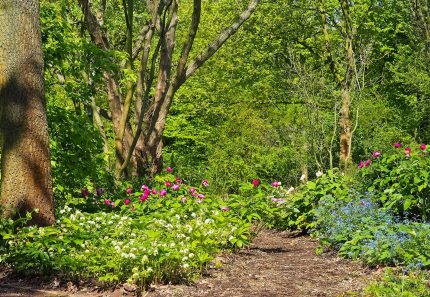 Top 4 Questions About Garden Bins, Answered!