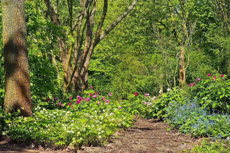 Top 4 Questions About Garden Bins, Answered!