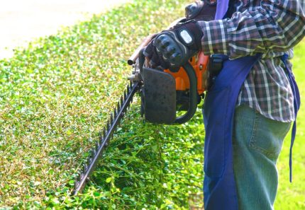 How to Do a Garden Clean up the Right Way