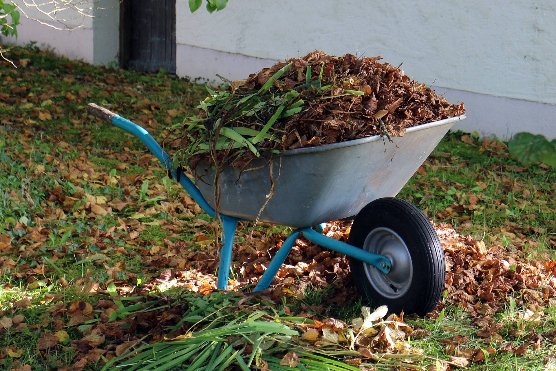 A Cheap Green Waste Removal Service for Large Quantities of Green Waste