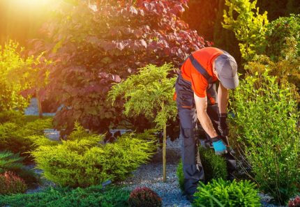 Spring Clean Your Garden with Professional Green Waste Removal