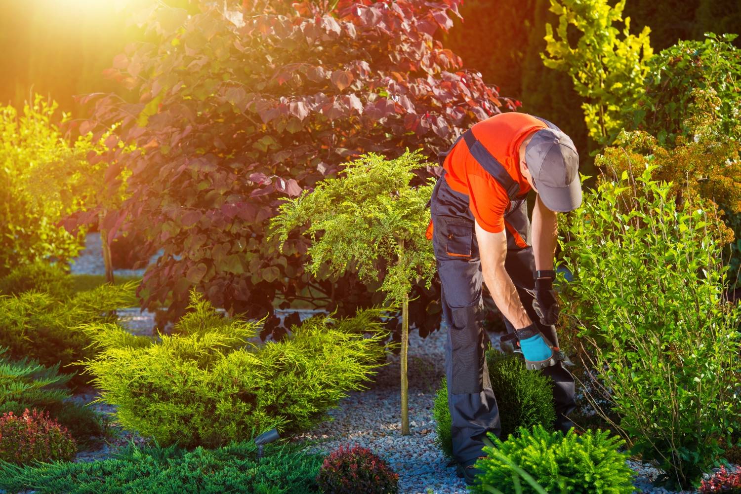 Spring Clean Your Garden with Professional Green Waste Removal