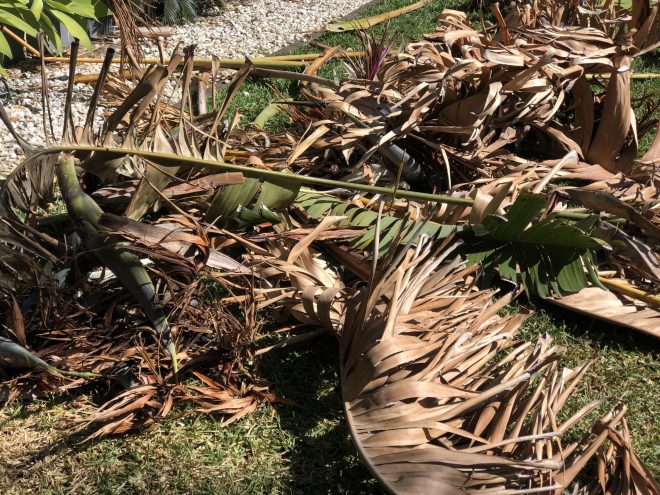 garden skip bins Brisbane